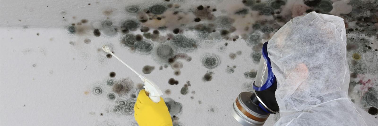 Schimmelpilzbildung kann sowohl auf Baumängel als auch auf Nutzerverhalten zurückzuführen sein und erfordert eine gründliche Untersuchung